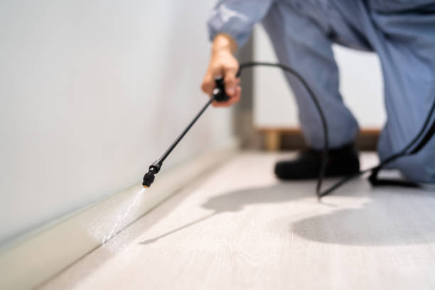 Licensed Termite Control service in Kentwood, LA - Nex Pest Control