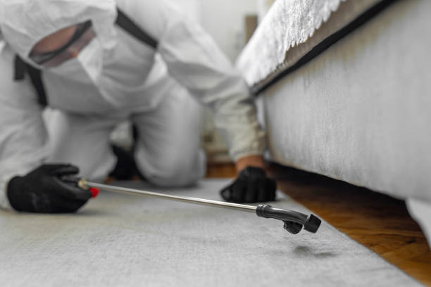Professional Termite Control technician working in Kentwood, LA
