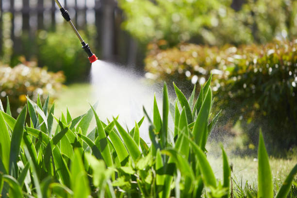 24/7 Emergency Termite Control experts in Kentwood, LA