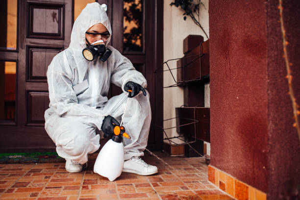 Reliable Termite Control contractor in Kentwood, LA by Nex Pest Control