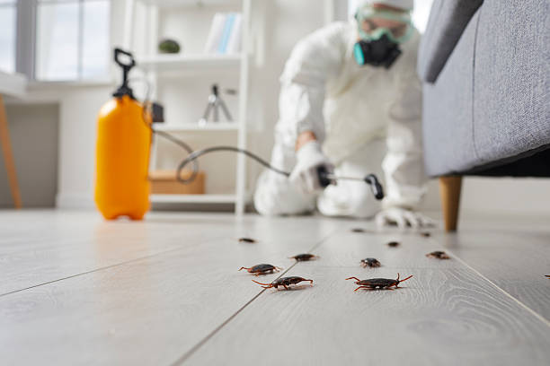 Trusted Fumigation Services service in Kentwood, LA - Nex Pest Control